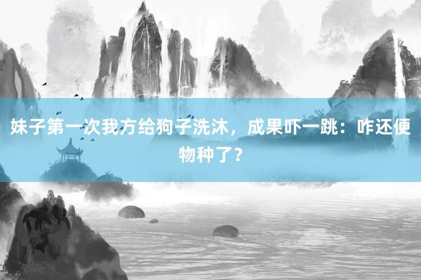 妹子第一次我方给狗子洗沐，成果吓一跳：咋还便物种了？