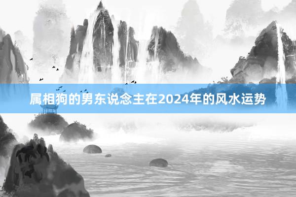 属相狗的男东说念主在2024年的风水运势