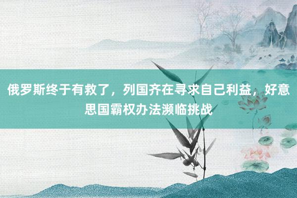 俄罗斯终于有救了，列国齐在寻求自己利益，好意思国霸权办法濒临挑战