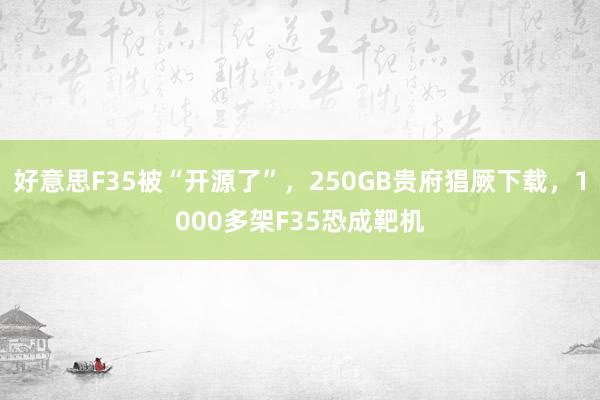 好意思F35被“开源了”，250GB贵府猖厥下载，1000多架F35恐成靶机