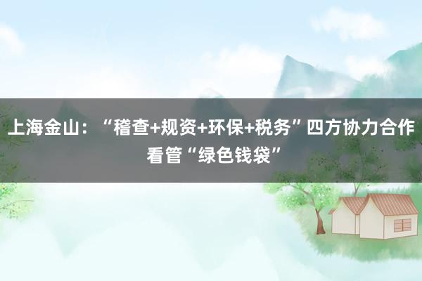 上海金山：“稽查+规资+环保+税务”四方协力合作 看管“绿色钱袋”